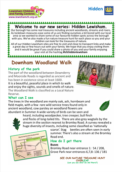Downham Wooden Walk