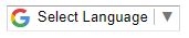 Google Translate Select Language option image